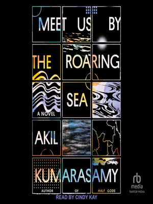 cover image of Meet Us by the Roaring Sea